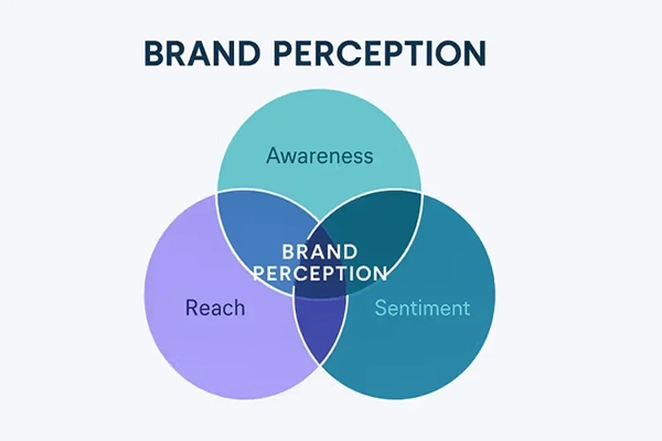 Brand Perception