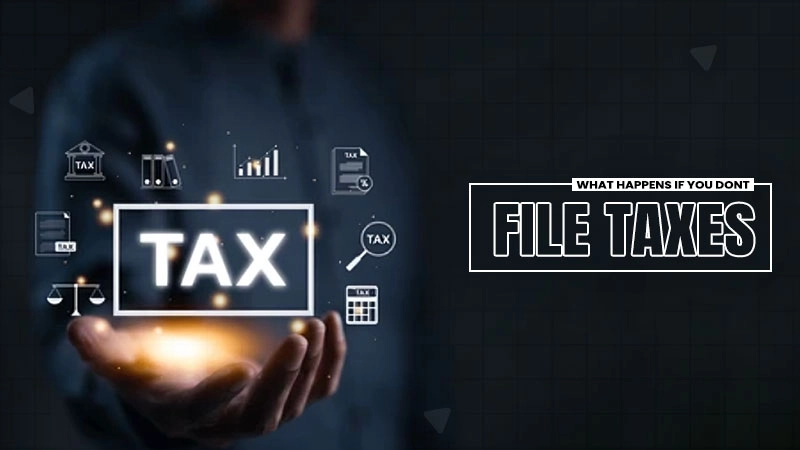 what happens if you dont file taxes