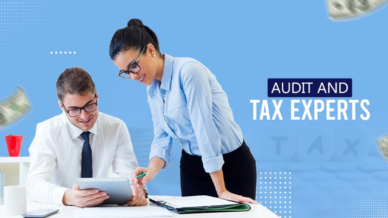 audit and tax experts